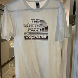 Supreme x the North face metallic logo